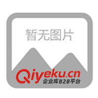 應急燈、電話機、2/3 AA 3.6V鎳鎘電池組